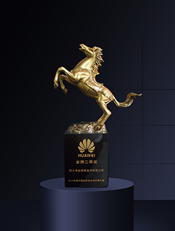 2014年度中國地區(qū)部合作伙伴大會(huì)金牌二等獎(jiǎng)